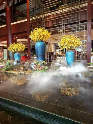 guest photo