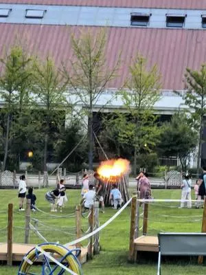 guest photo