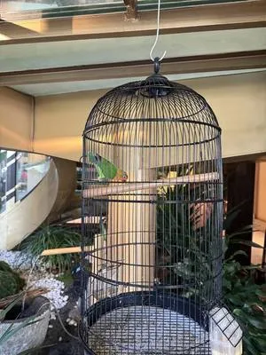 guest photo