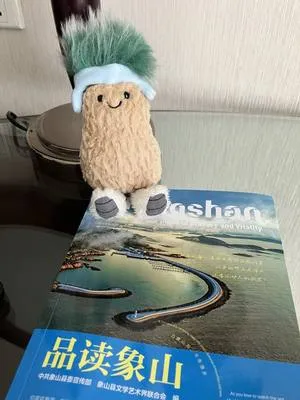 guest photo