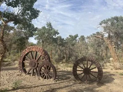 guest photo