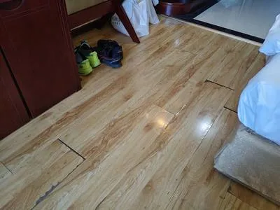 guest photo
