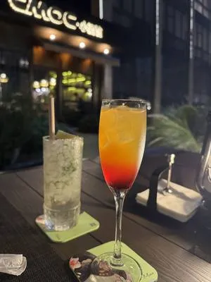 guest photo