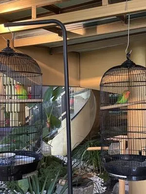 guest photo