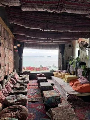 guest photo