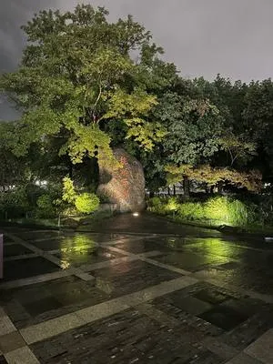 guest photo