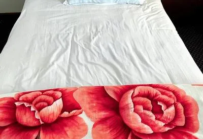 guest photo