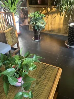 guest photo