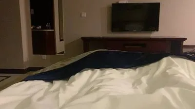 guest photo