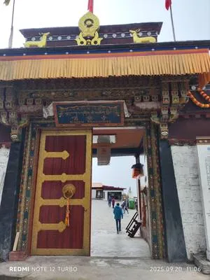 guest photo