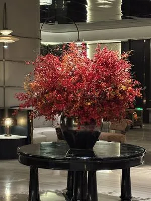 guest photo