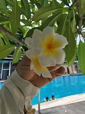 guest photo