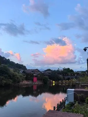 guest photo
