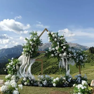 guest photo