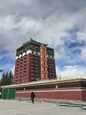 guest photo