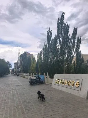 guest photo