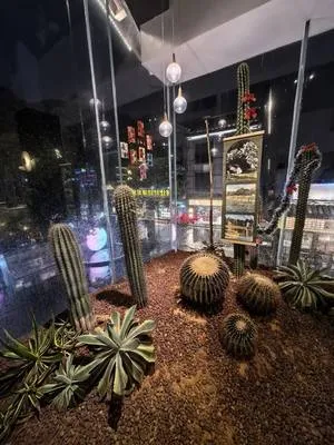 guest photo