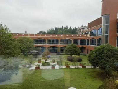 guest photo