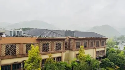 guest photo