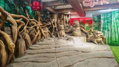 guest photo
