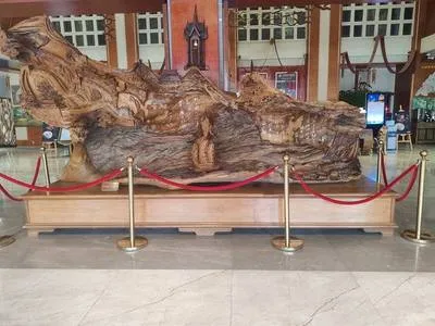 guest photo