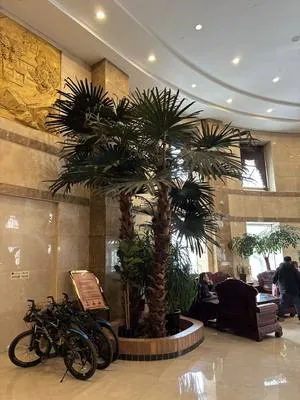 guest photo