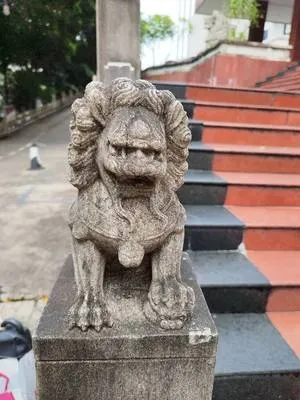 guest photo