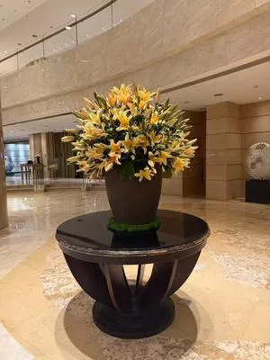 guest photo