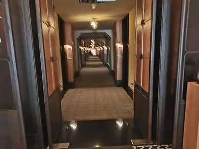 guest photo