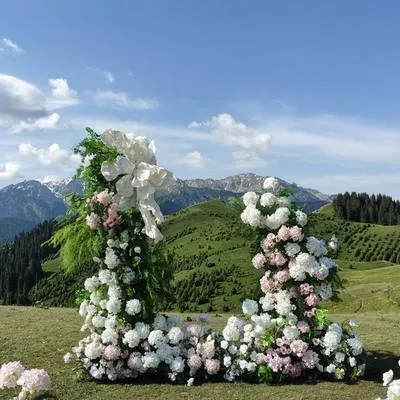 guest photo