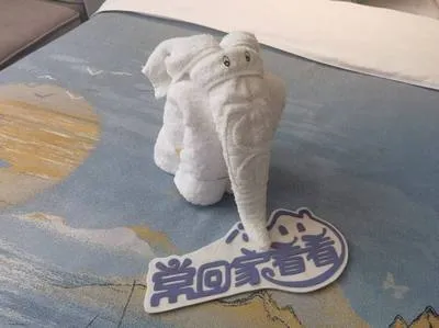 guest photo