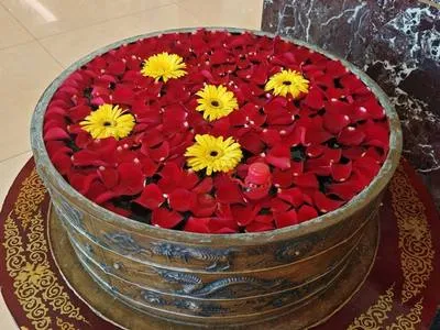 guest photo