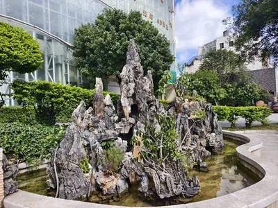 guest photo