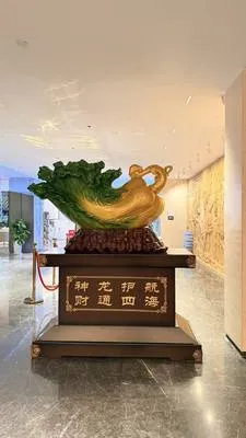guest photo