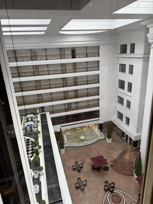 guest photo
