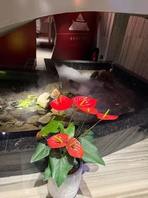 guest photo