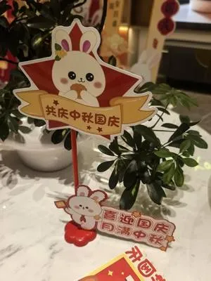 guest photo