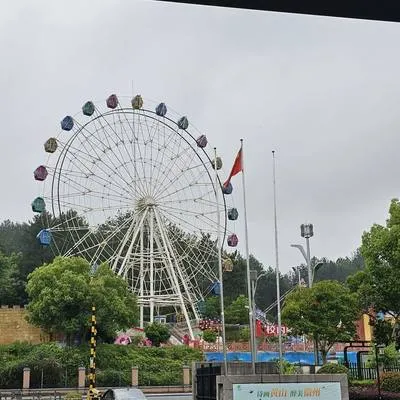 guest photo