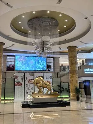 guest photo