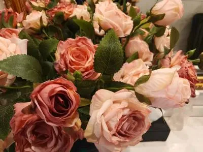 guest photo