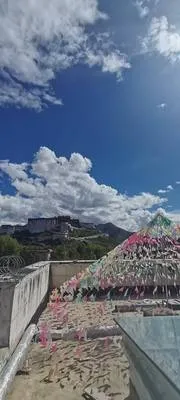 guest photo