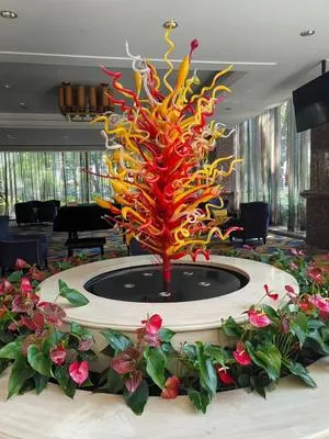 guest photo