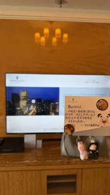 guest photo