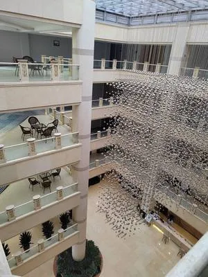 guest photo