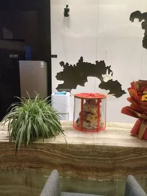 guest photo