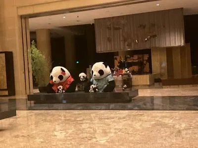 guest photo