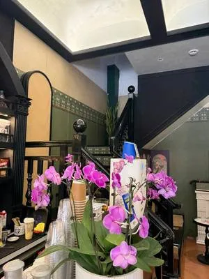 guest photo