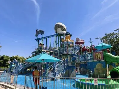 guest photo