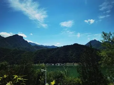 guest photo