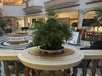 guest photo